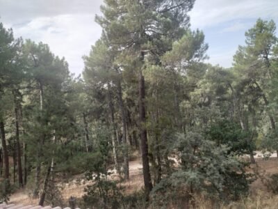 Ciudad Ducal Chalet
