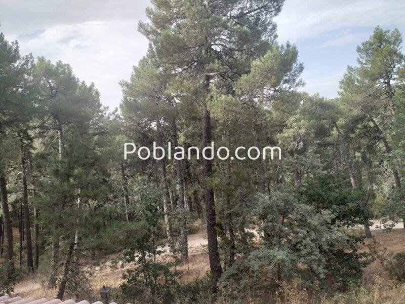 Ciudad Ducal Chalet