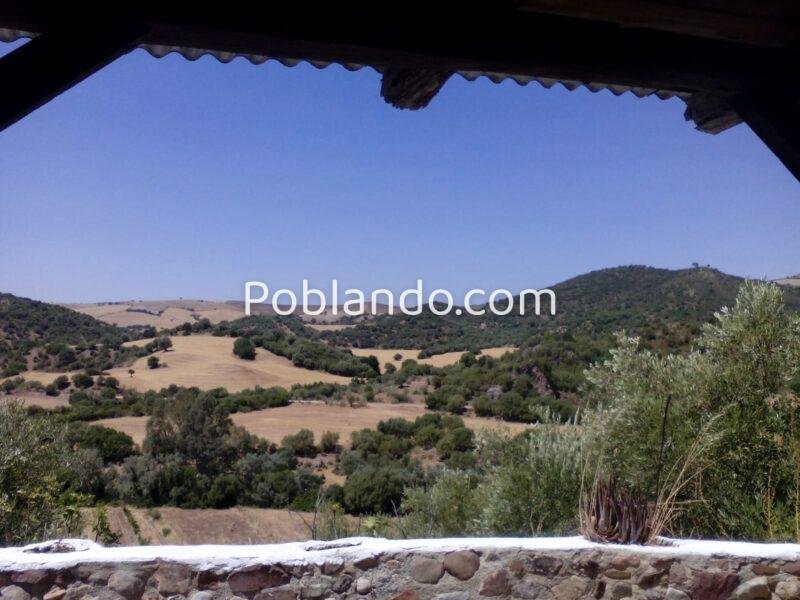 Finca rustica en la sierra de Cadiz