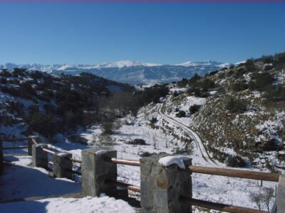 Finca rústica con cortijo y 46,61 ha en el Parque Natural Sierra de Baza