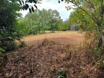 Casa a rehabilitar con 9.000 M2 terreno