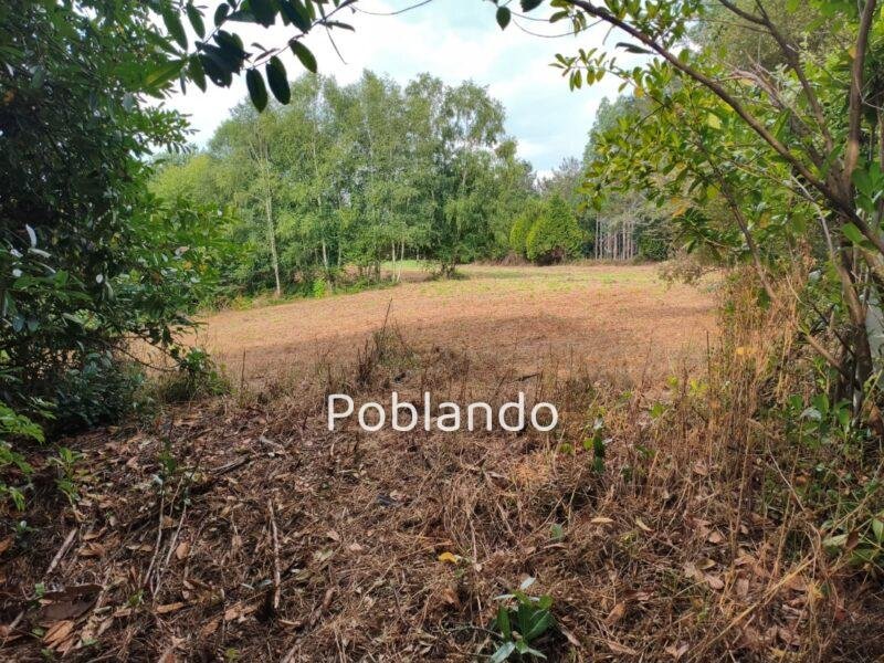 Casa a rehabilitar con 9.000 M2 terreno