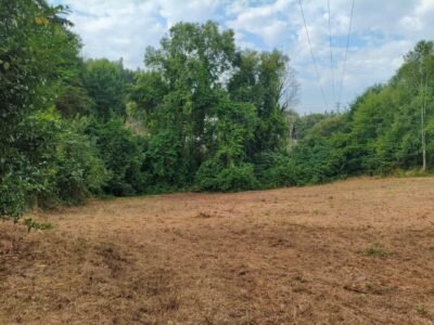 Casa a rehabilitar con 9.000 M2 terreno