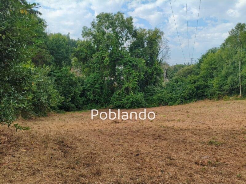 Casa a rehabilitar con 9.000 M2 terreno