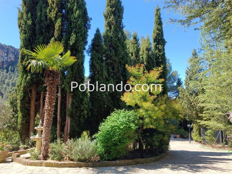 Trabaja desde casa sin vivir dentro de una ciudad