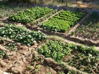 Finca rústica con cortijo y 46,61 ha en el Parque Natural Sierra de Baza