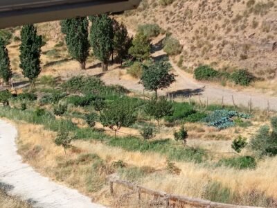 Finca rústica con cortijo y 46,61 ha en el Parque Natural Sierra de Baza