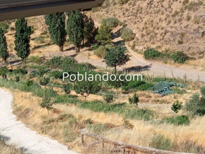 Finca rústica con cortijo y 46,61 ha en el Parque Natural Sierra de Baza