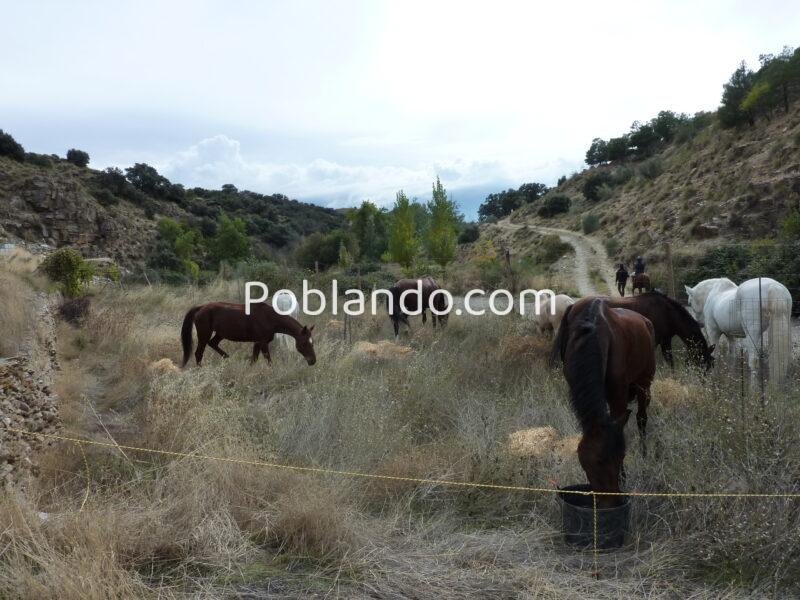 Finca rústica con cortijo y 46,61 ha en el Parque Natural Sierra de Baza