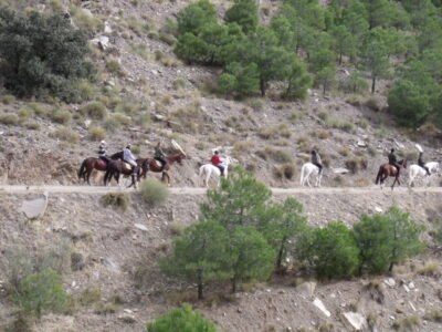 Finca rústica con cortijo y 46,61 ha en el Parque Natural Sierra de Baza