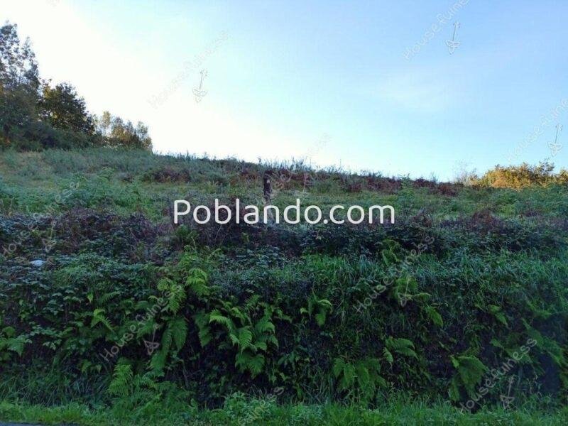 Terreno urbanizable