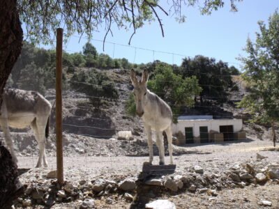 Finca rústica con cortijo y 46,61 ha en el Parque Natural Sierra de Baza