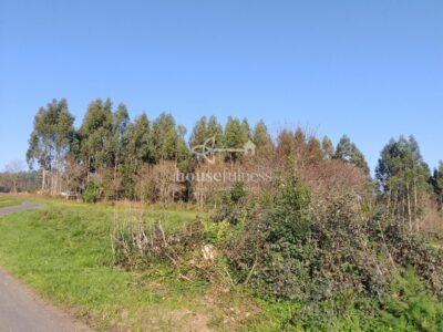 Finca urbana en Miño