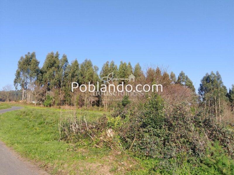 Finca urbana en Miño