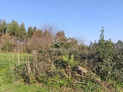 Finca urbana en Miño