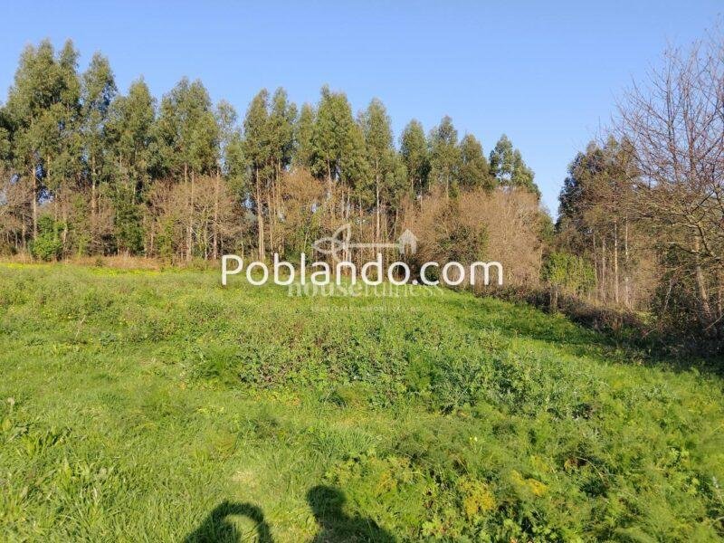 Finca urbana en Miño