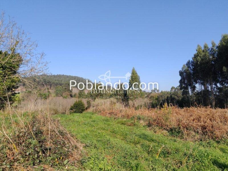 Finca urbana en Miño