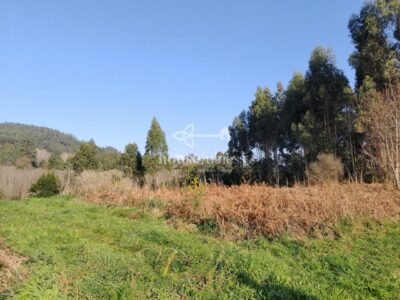 Finca urbana en Miño