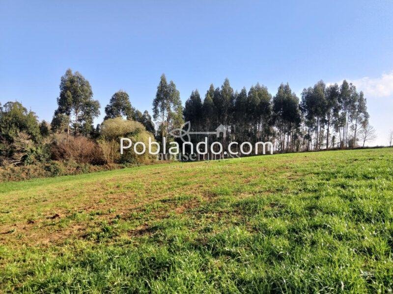 Finca urbana en Miño