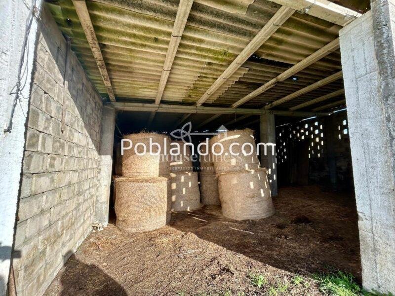 Casa con amplia finca en Miño