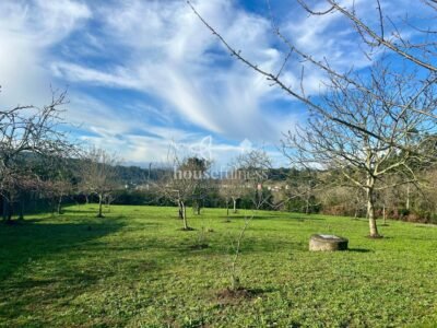 Casa con amplia finca en Miño