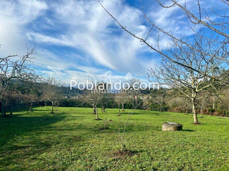 Casa con amplia finca en Miño