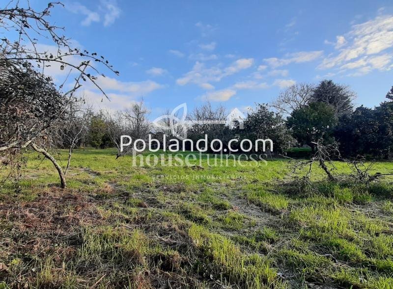 Finca edificable en Laraxe