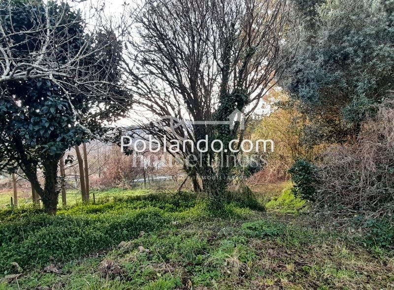 Finca edificable en Laraxe