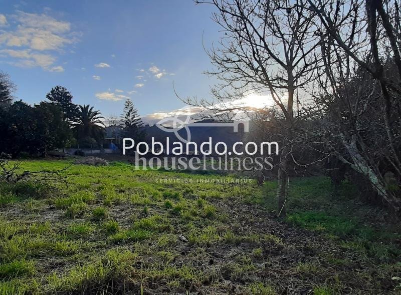 Finca edificable en Laraxe