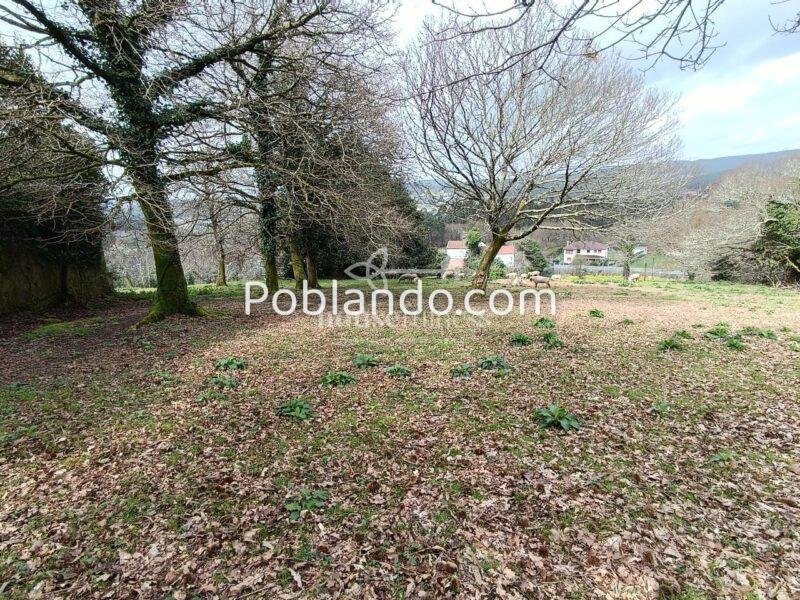 INVERSIÓN ÚNICA EN SANTIAGO DE COMPOSTELA