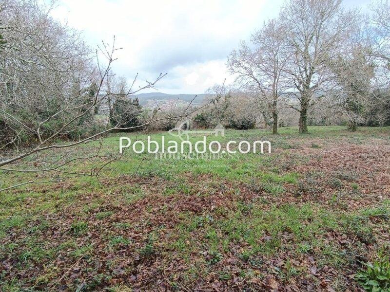 INVERSIÓN ÚNICA EN SANTIAGO DE COMPOSTELA