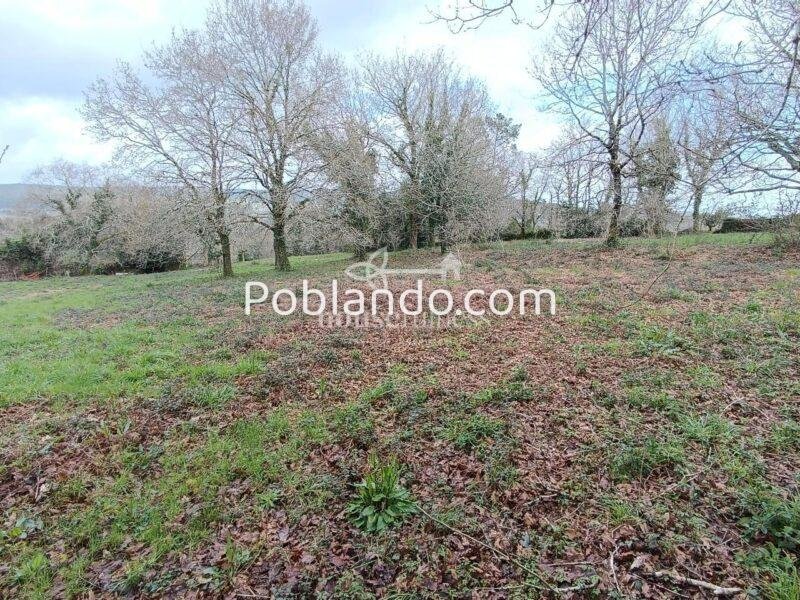 INVERSIÓN ÚNICA EN SANTIAGO DE COMPOSTELA