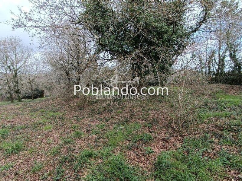 INVERSIÓN ÚNICA EN SANTIAGO DE COMPOSTELA