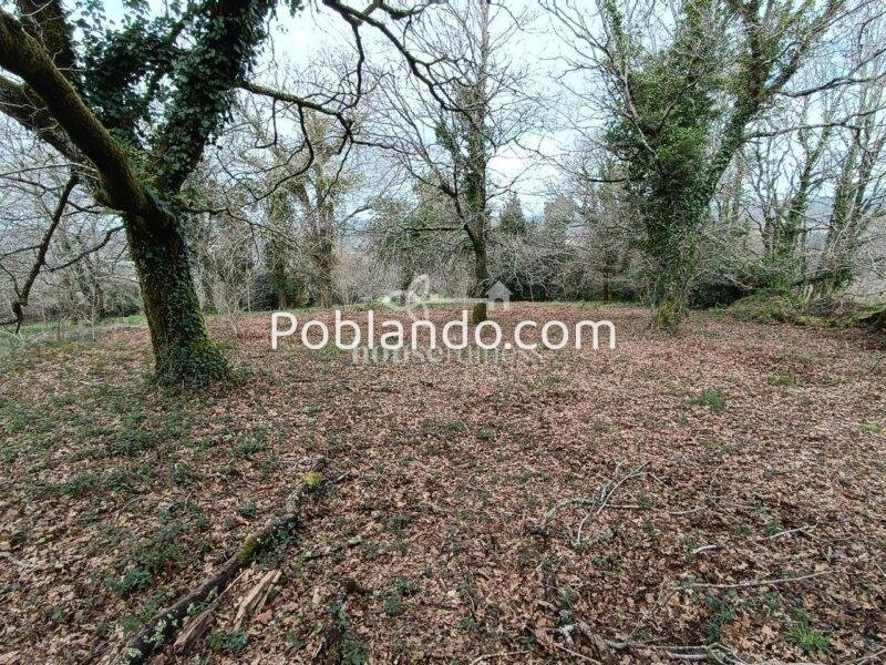 INVERSIÓN ÚNICA EN SANTIAGO DE COMPOSTELA