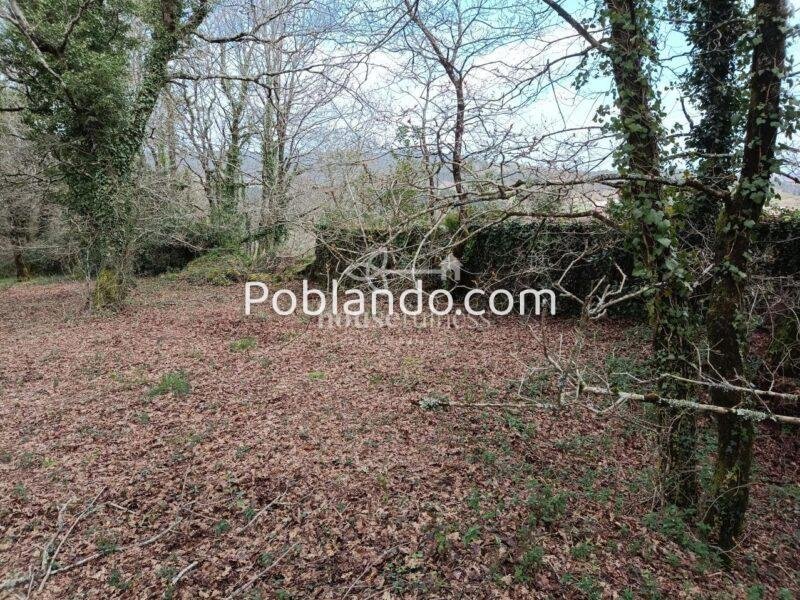 INVERSIÓN ÚNICA EN SANTIAGO DE COMPOSTELA