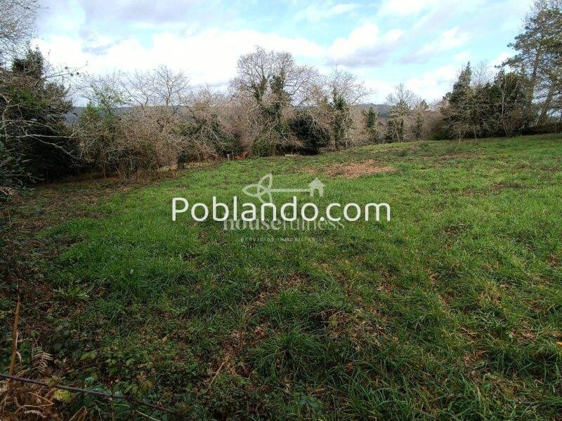 INVERSIÓN ÚNICA EN SANTIAGO DE COMPOSTELA