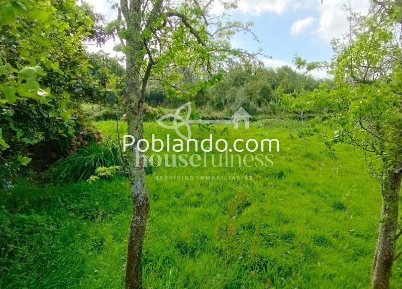ENCANTADORA CASA RURAL EN CERDIDO
