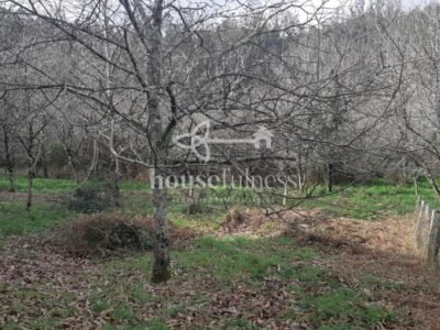 Casa típica gallega con gran finca en Ortigueira