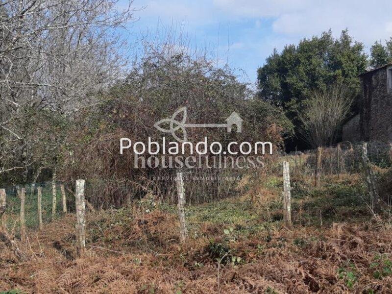 Casa típica gallega con gran finca en Ortigueira