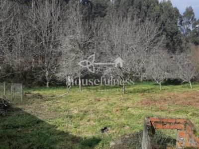 Casa típica gallega con gran finca en Ortigueira