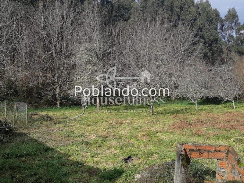 Casa típica gallega con gran finca en Ortigueira