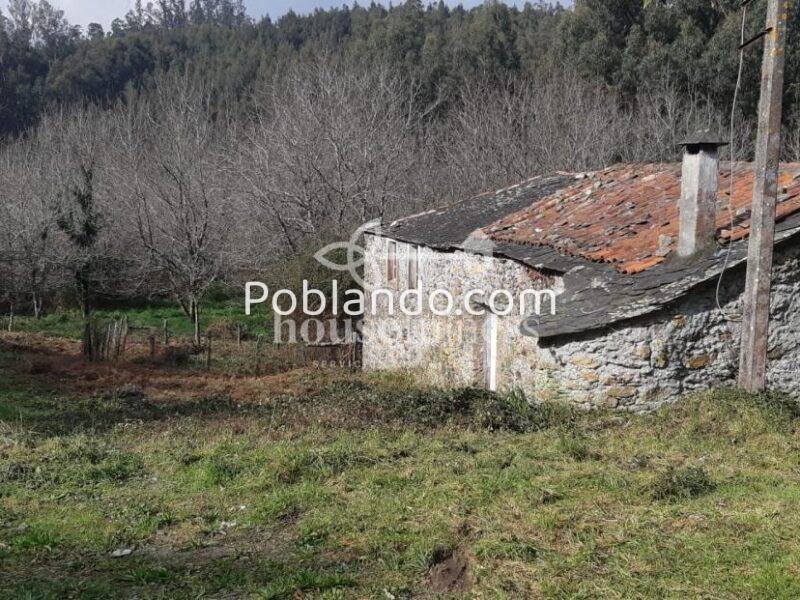 Casa típica gallega con gran finca en Ortigueira