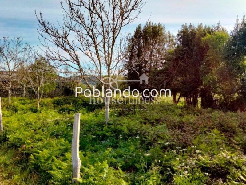Casa típica gallega para proyecto de restauración en Ortigueira