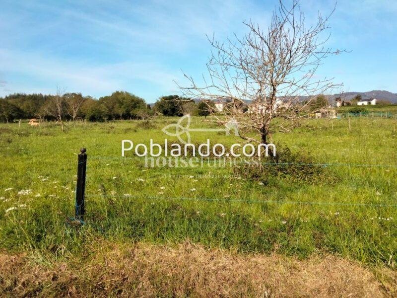 Casa típica gallega para proyecto de restauración en Ortigueira