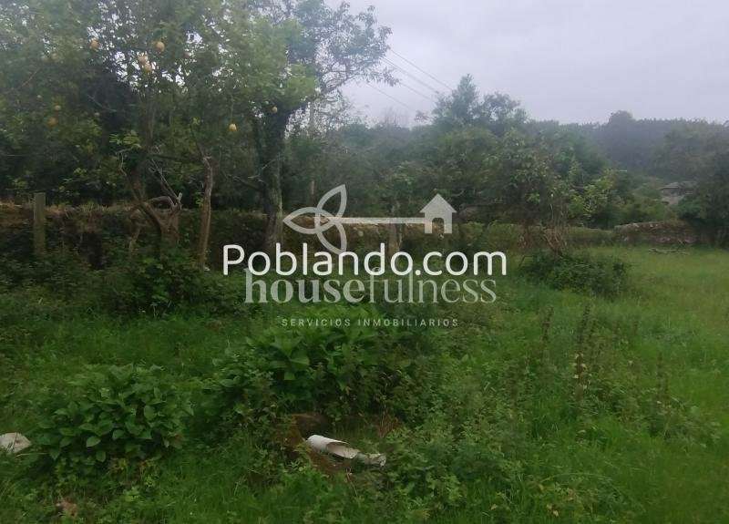 AMPLIA CASA DE DOS PLANTAS CON FINCA EN ESPASANTE