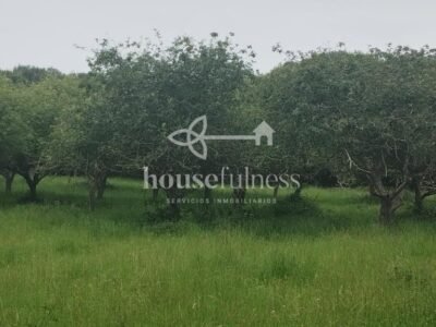 AMPLIA CASA DE DOS PLANTAS CON FINCA EN ESPASANTE