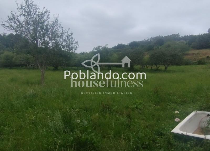 AMPLIA CASA DE DOS PLANTAS CON FINCA EN ESPASANTE