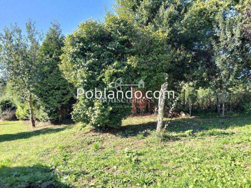 Se vende impresionante casa gallega en Somozas