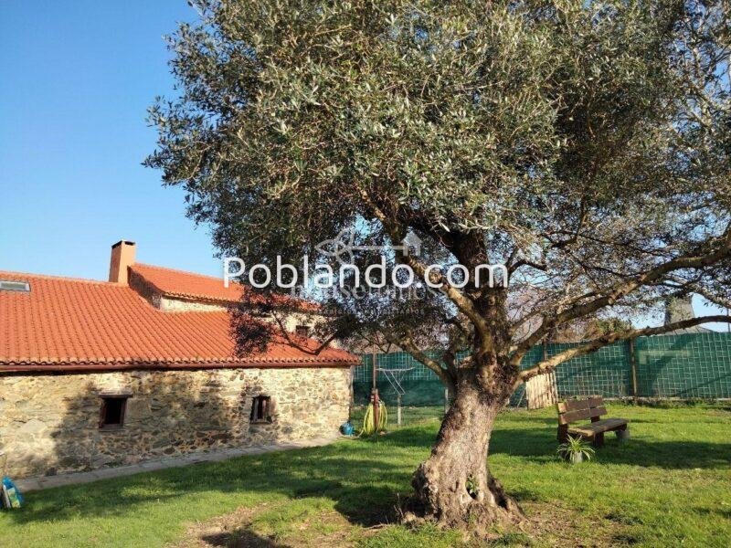 Casa rural en Ferrol