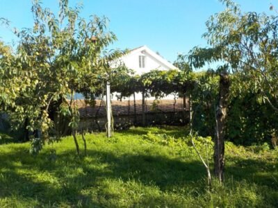 CASA RURAL EN PIÑEIROS